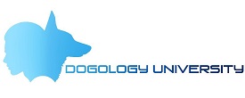 Dogology University photo